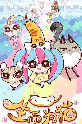 海阳网站优化价格表